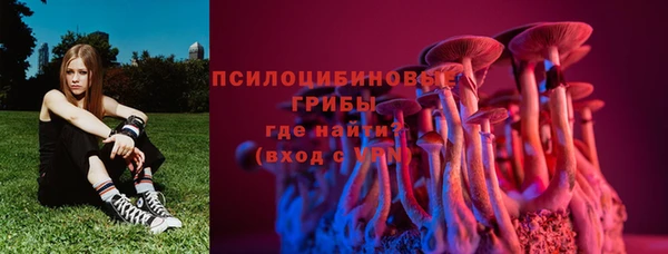 скорость Арсеньев