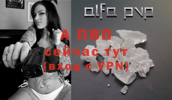 крисы Армянск