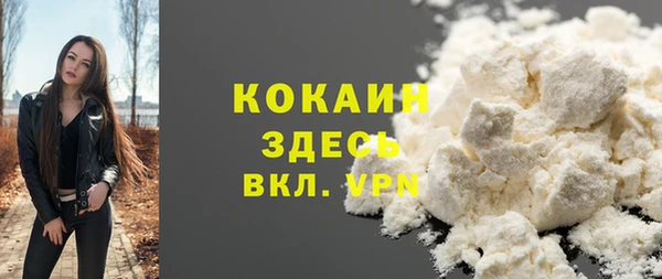 крисы Армянск
