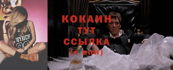 крисы Армянск