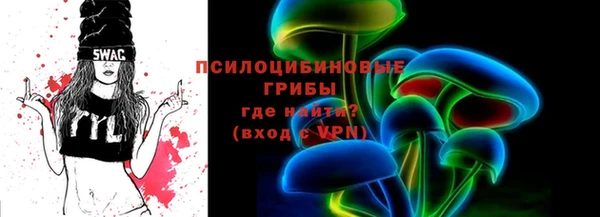 крисы Армянск