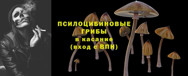 ГАЛЛЮЦИНОГЕННЫЕ ГРИБЫ Аркадак