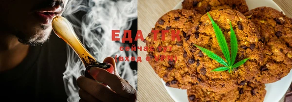 ГАЛЛЮЦИНОГЕННЫЕ ГРИБЫ Аркадак