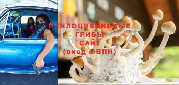 ГАЛЛЮЦИНОГЕННЫЕ ГРИБЫ Аркадак